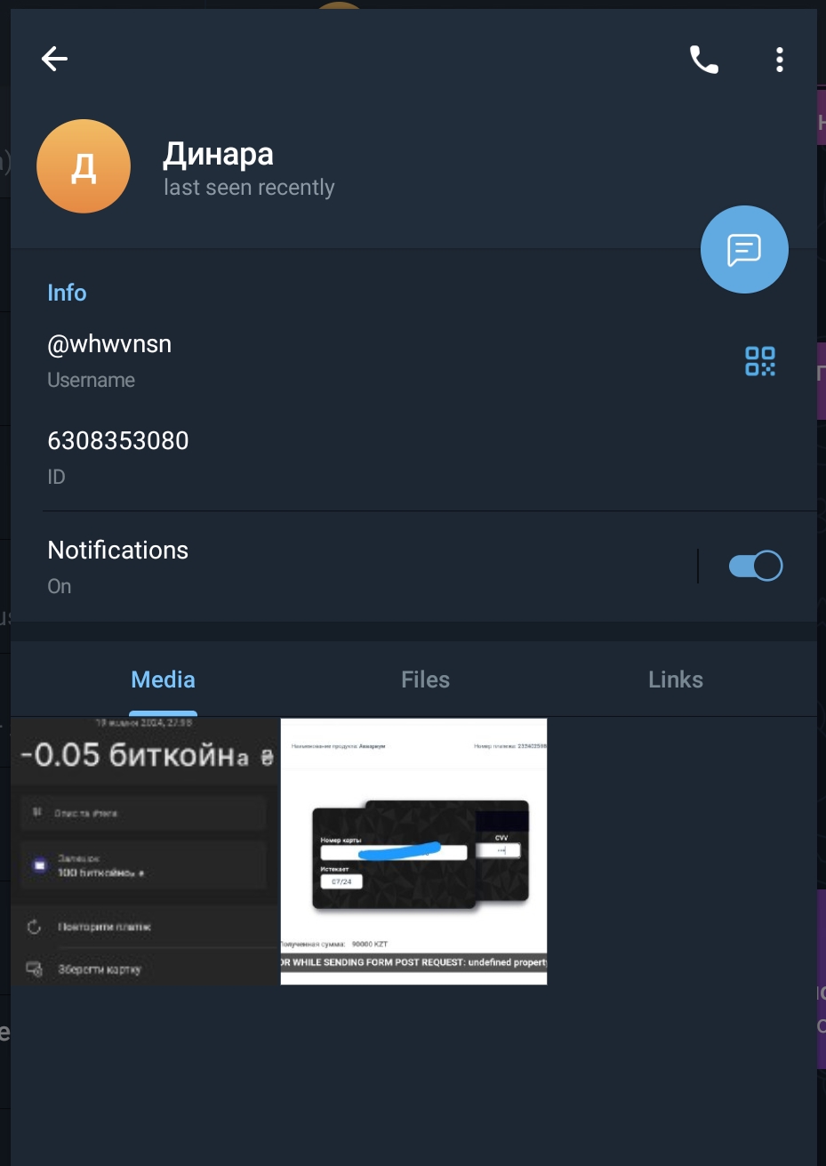 Профиль мошенника в Telegram — @whwvnsn, ID: 6308353080